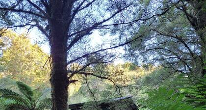 Cosie Miners cottage in historic blackball, surrounded by the Paparoa ranges