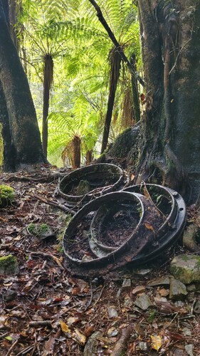 Cosie Miners cottage in historic blackball, surrounded by the Paparoa ranges