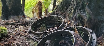 Cosie Miners cottage in historic blackball, surrounded by the Paparoa ranges
