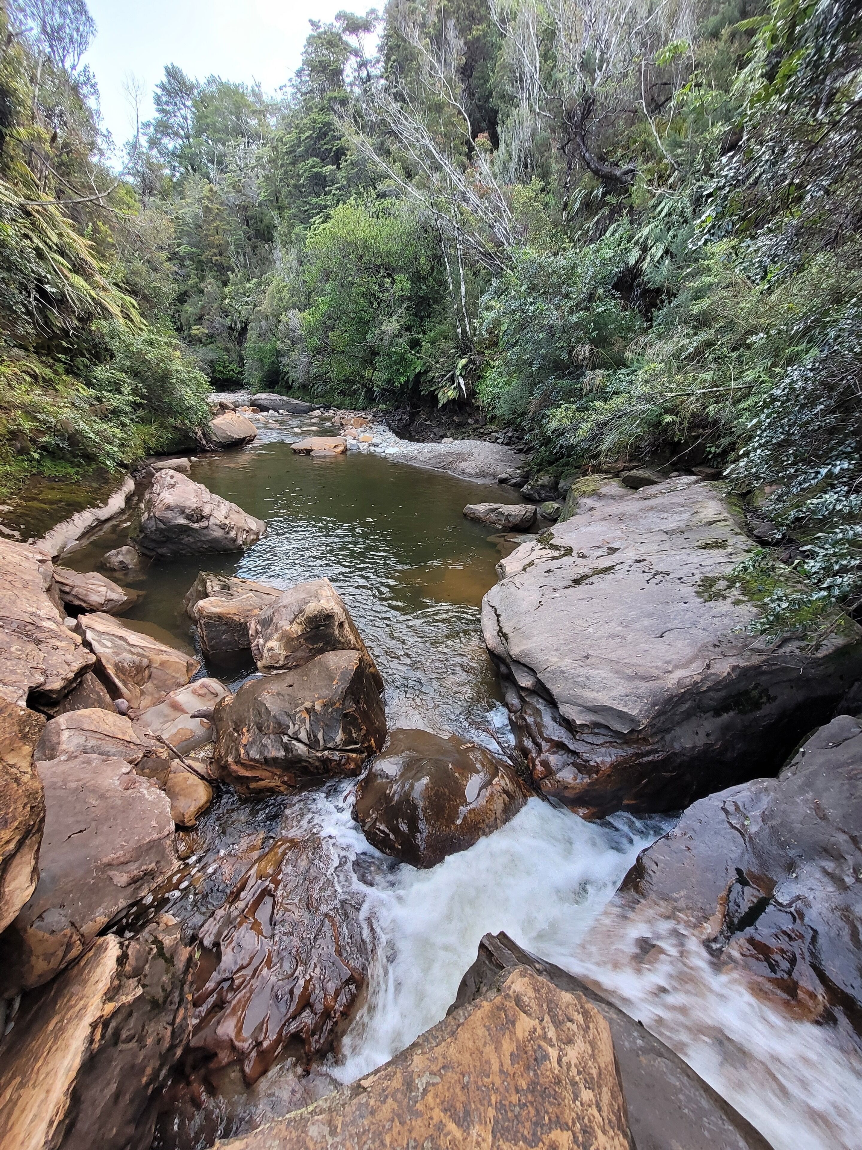 Um riacho natural serpenteando sobre pedras em uma área arborizada.