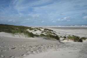 Beach - Lighthouse at Gertrude's Country House (Juist)