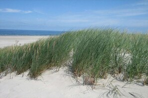 Beach - Holiday apartment in Juist with swimming pool (Juist)
