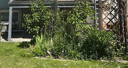 Ferienwohnung mit Dachterrasse