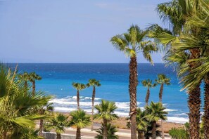 A coastal view with palm trees and the ocean.