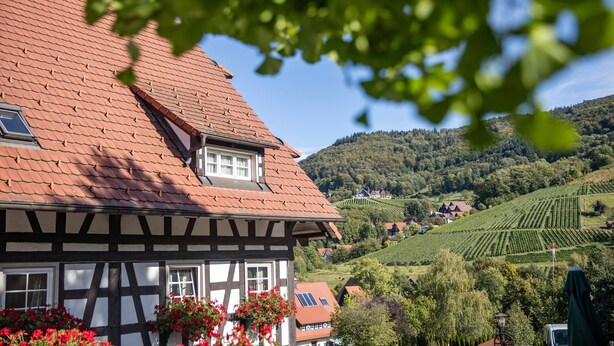 Une maison traditionnelle à colombages, dotée d’un toit en pente, de grandes fenêtres et offrant une vue sur un paysage vallonné parsemé de vignobles.