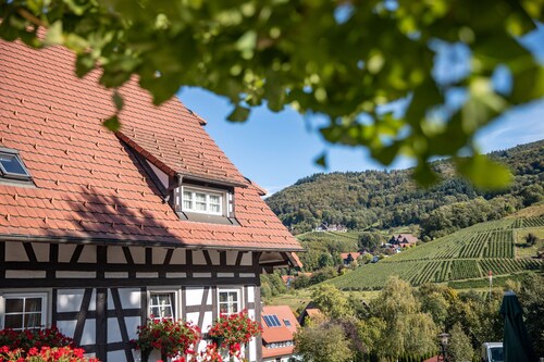 Room 'Ahorn' with Shared Garden and Wi-Fi