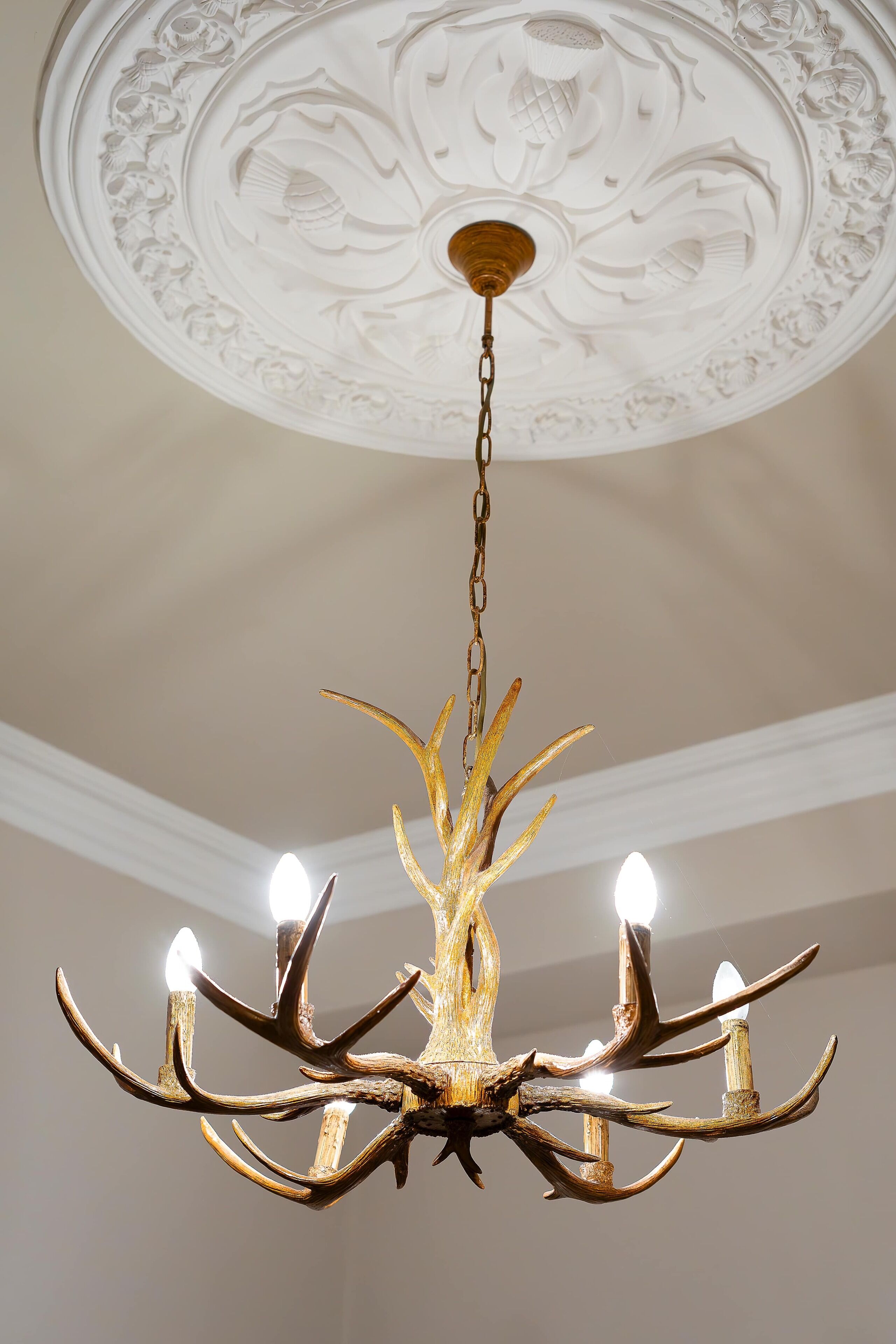 Details aan de binnenkant