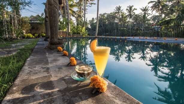 A poolside area with a clear view of the water, surrounded by palm trees and a concrete pathway. - Serenity Villa & Spa (Ubud)