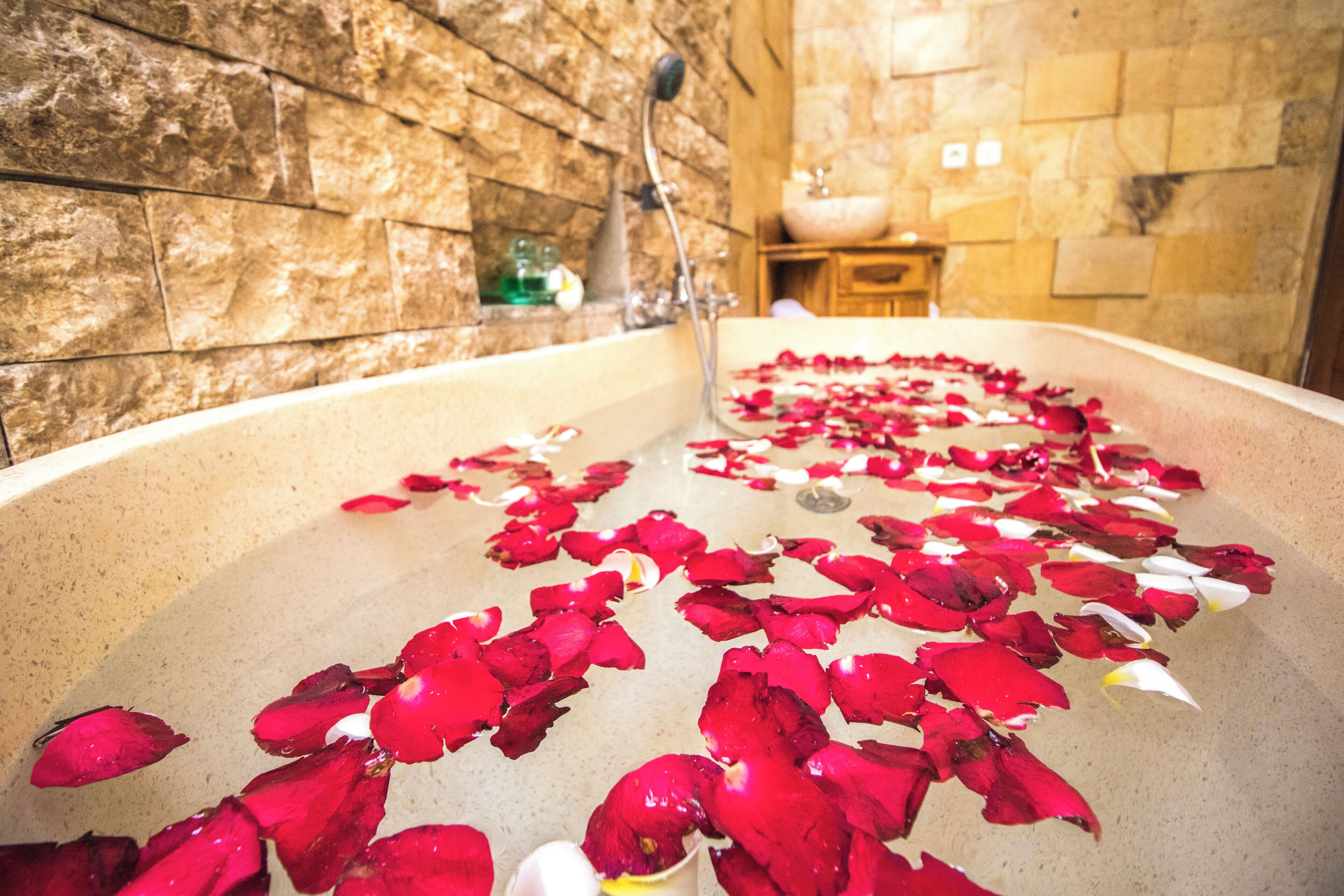 Bañera con ducha, secador de pelo, toallas, jabón