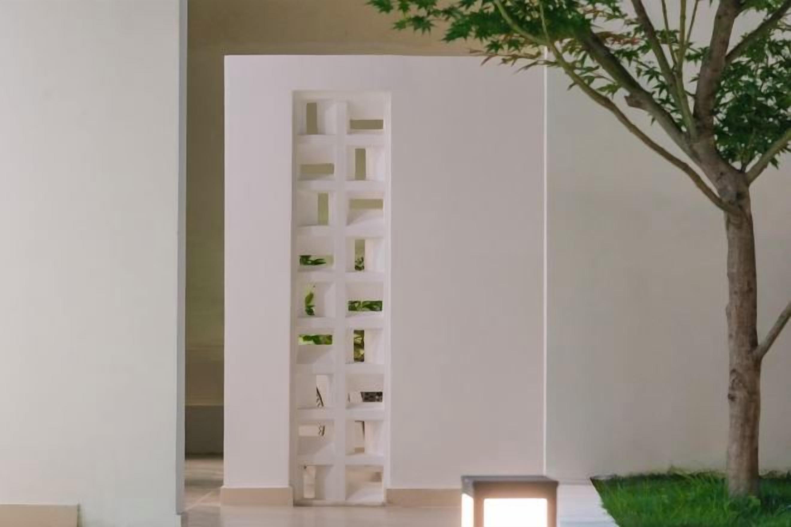 A minimalist interior with a white partition, a small tree, and a bench.