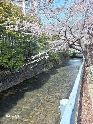 Pemandangan dari properti