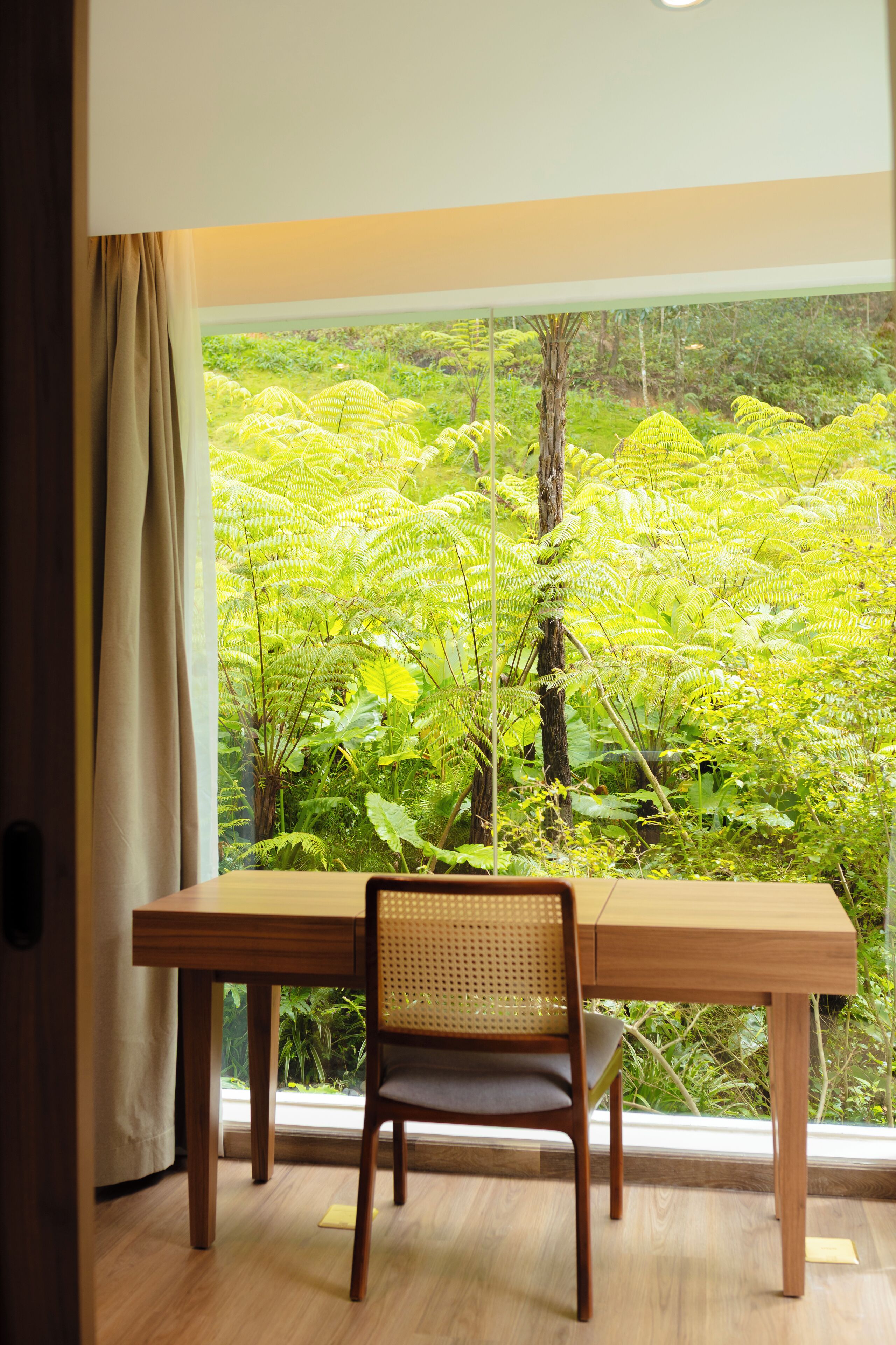 A room with a wooden table and chair, a large window with a view of lush green ferns.