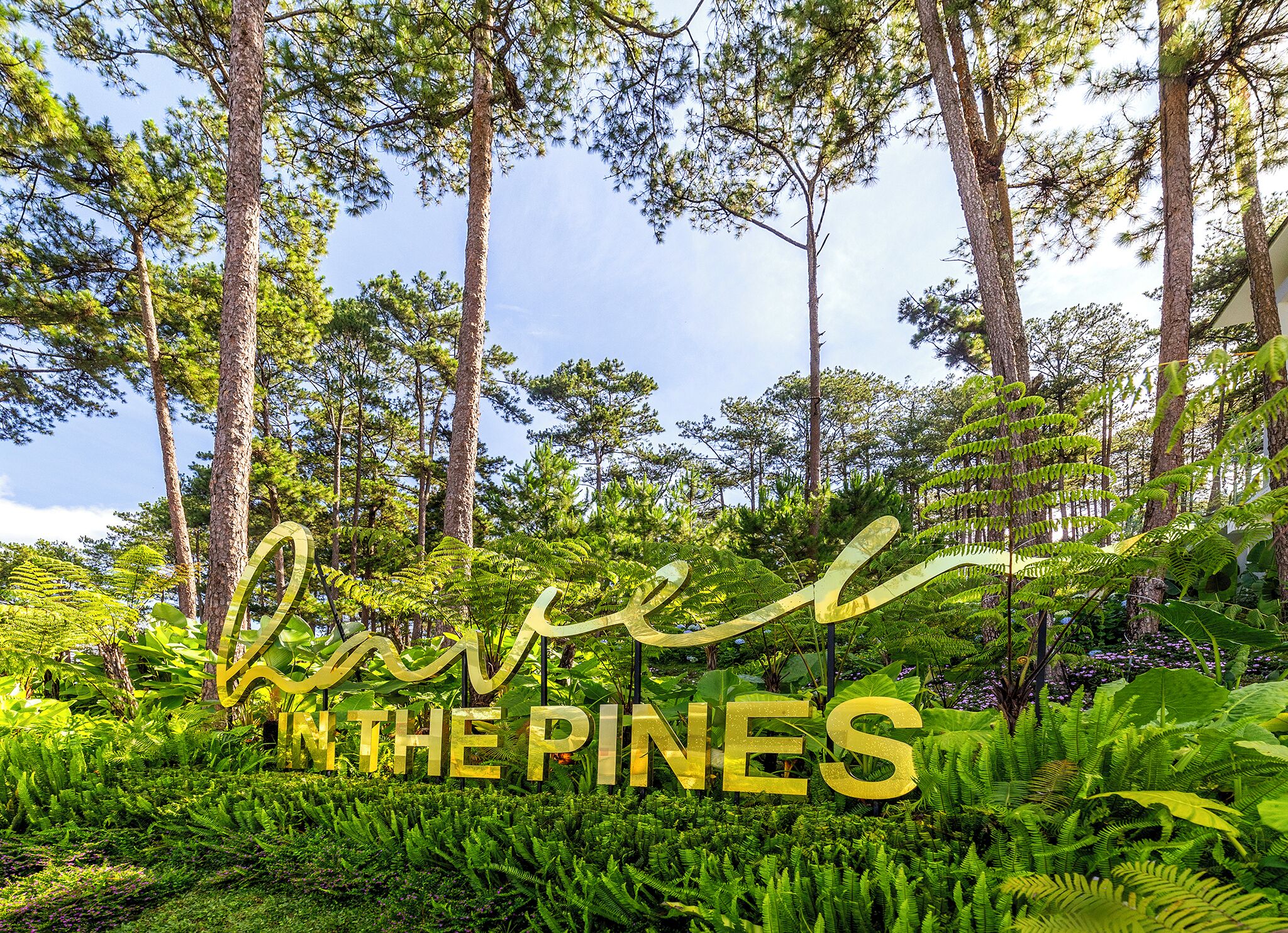 Een bebost gebied met een bord waarop staat 'Love in the Pines'.