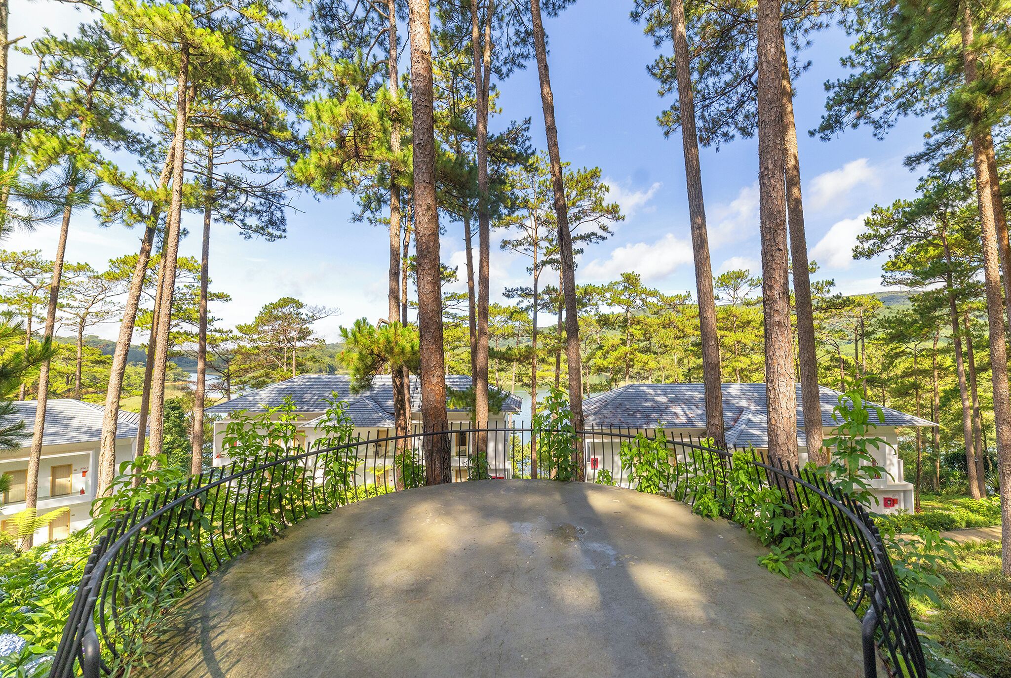 A paved area surrounded by tall trees, with a metal fence and buildings in the background.