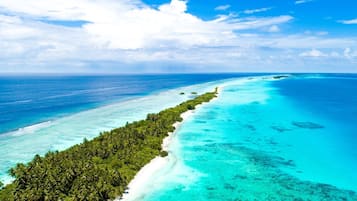 On the beach, free beach shuttle