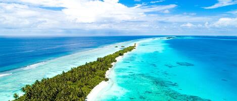 在海滩、免费海滩班车