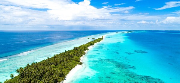On the beach, free beach shuttle - Lonuhiri at Dhigurah (Dhigurah)