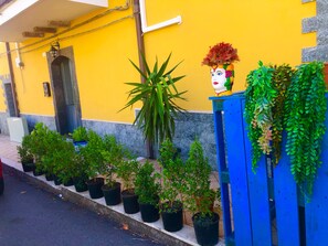 Een rij potplanten langs een voetpad, een blauwe hek en een geel gebouw met een deur en raam.