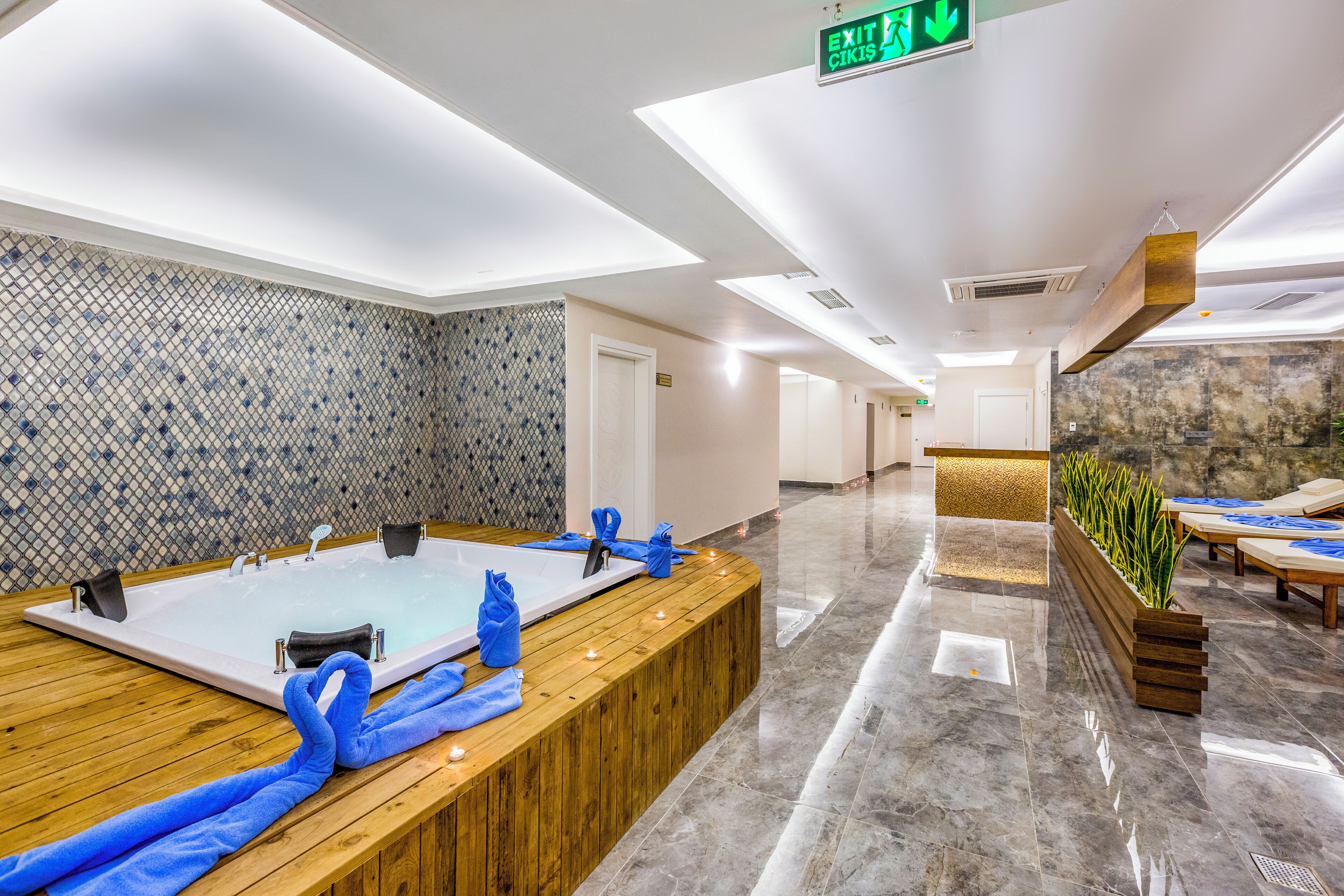 Un moderno espacio de spa con un amplio mostrador de recepción de madera, dos tinas de hidromasaje y un mostrador con una planta.