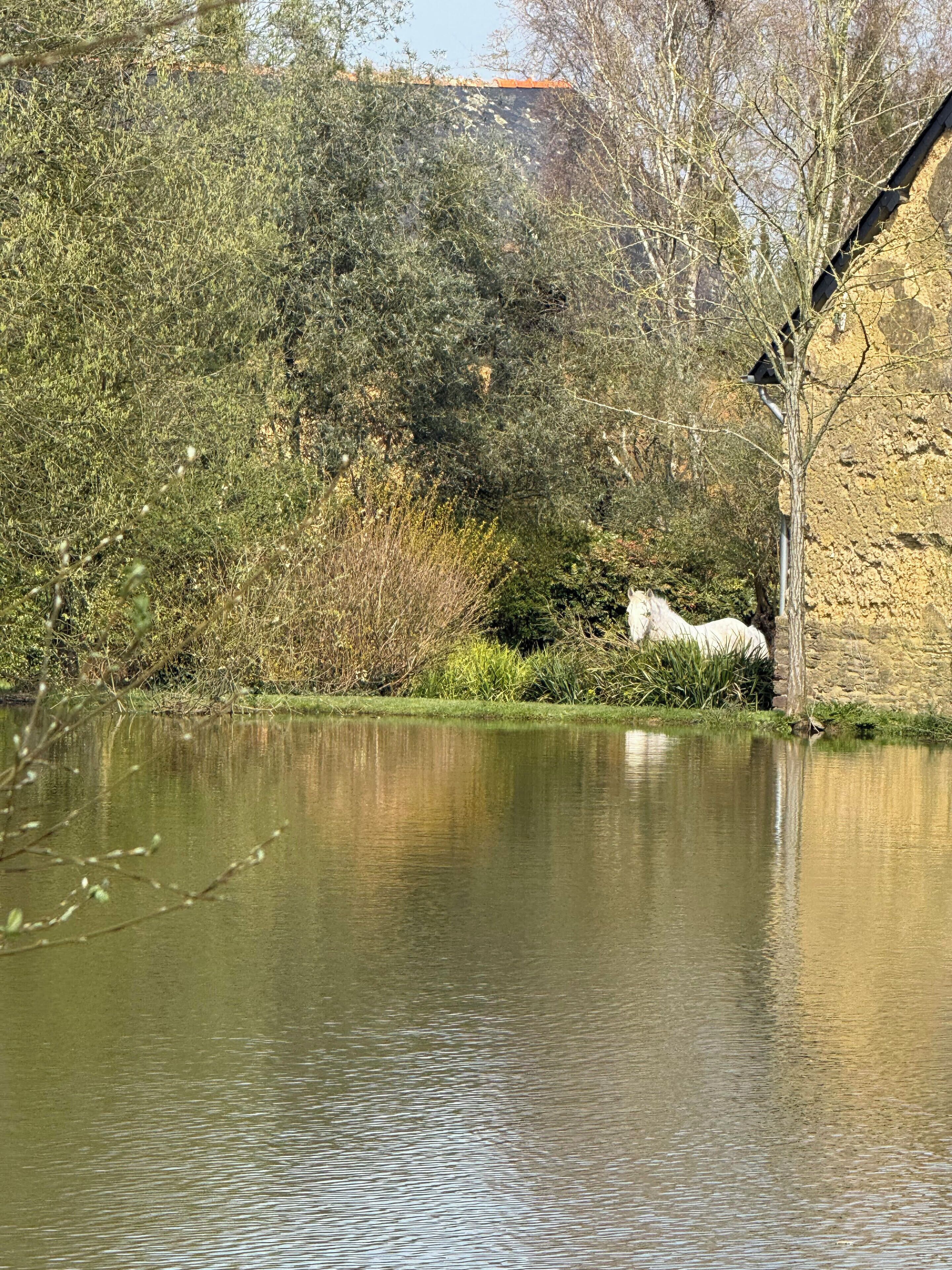 Un fiume tranquillo con un muro di pietra e alberi sullo sfondo.