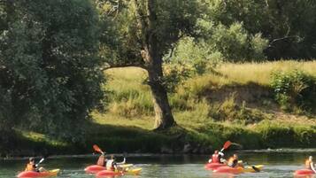 A group of kayakers on a calm river surrounded by dense greenery.