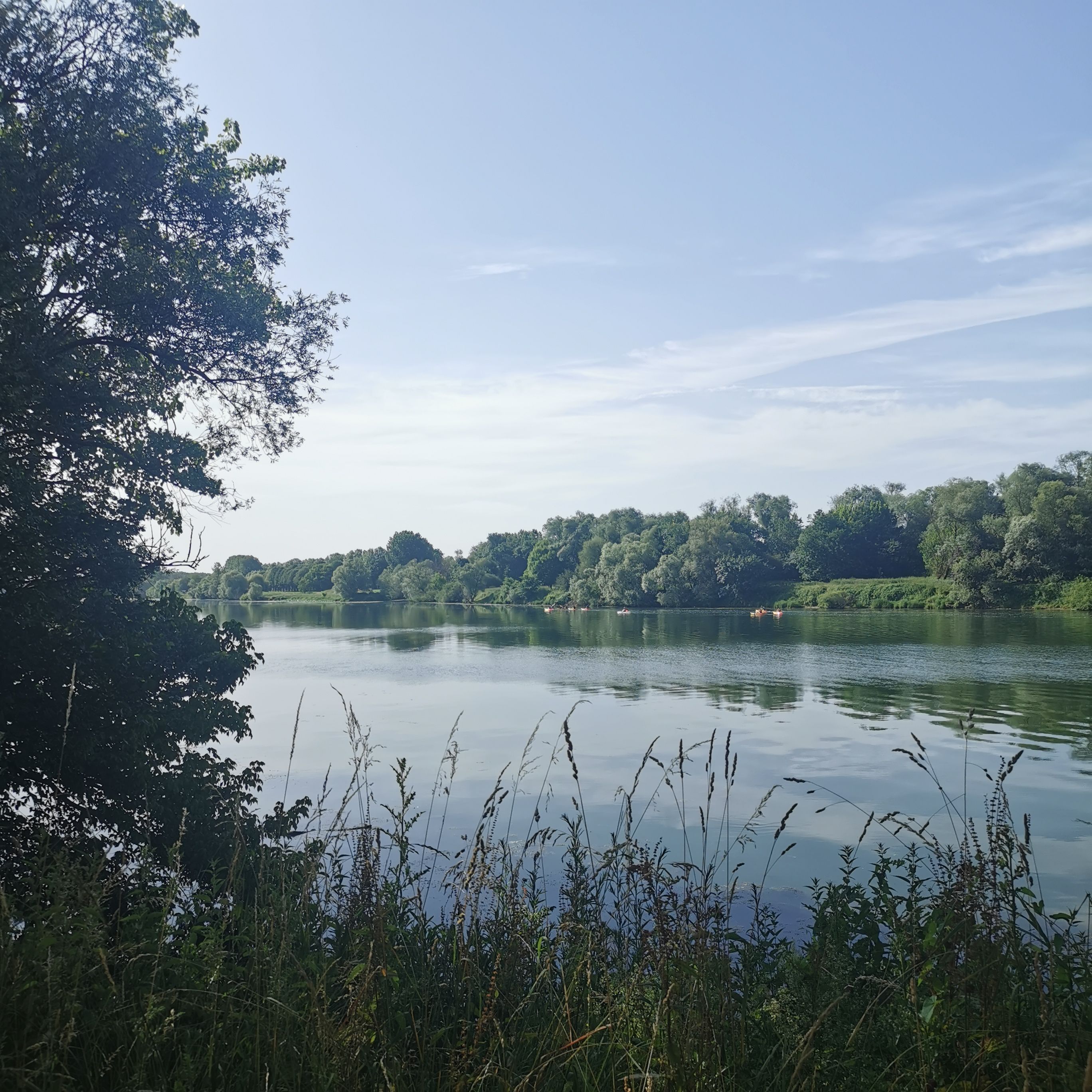 A calm lake with dense greenery on the banks and a clear sky.