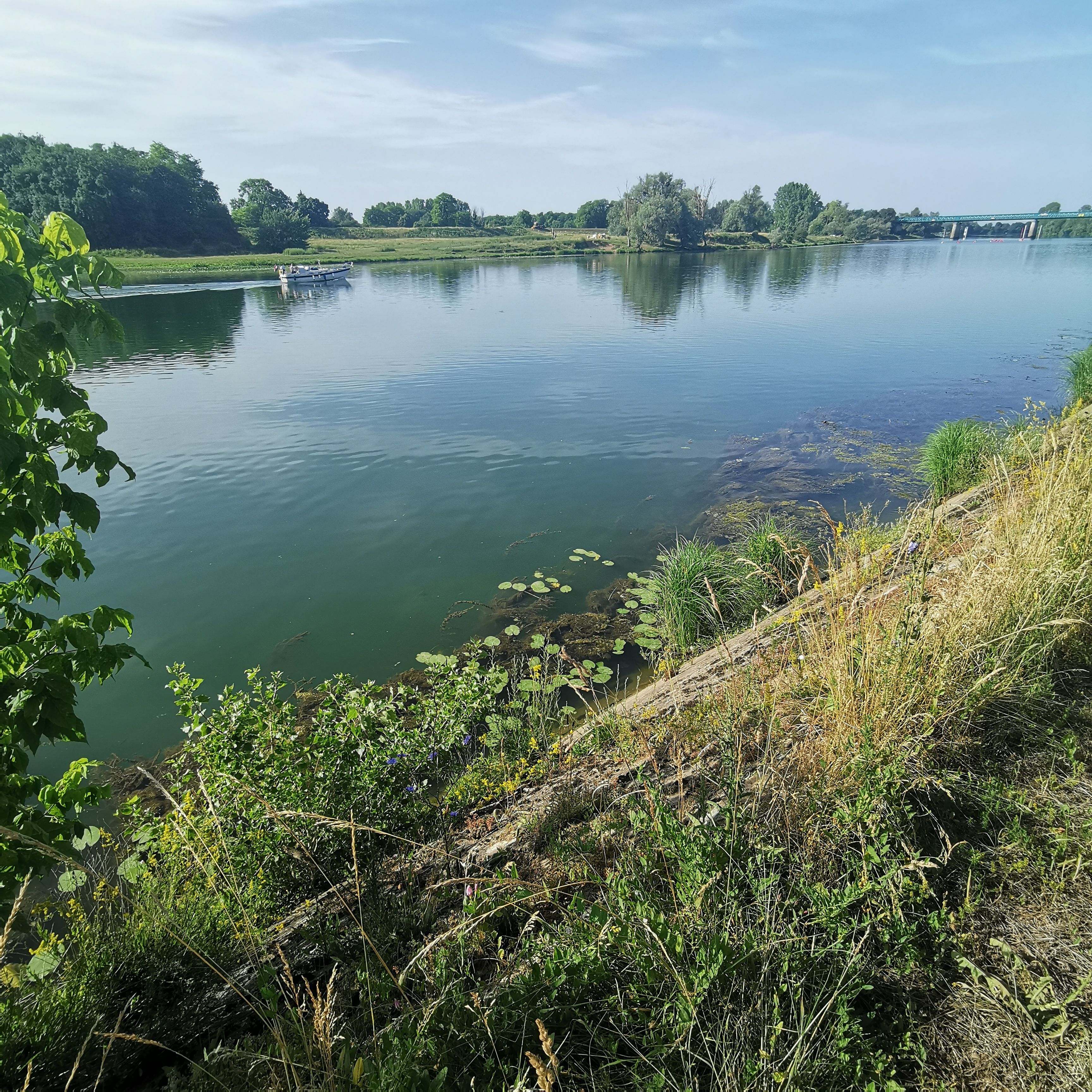 A calm river with boats, surrounded by greenery and a bridge in the distance.