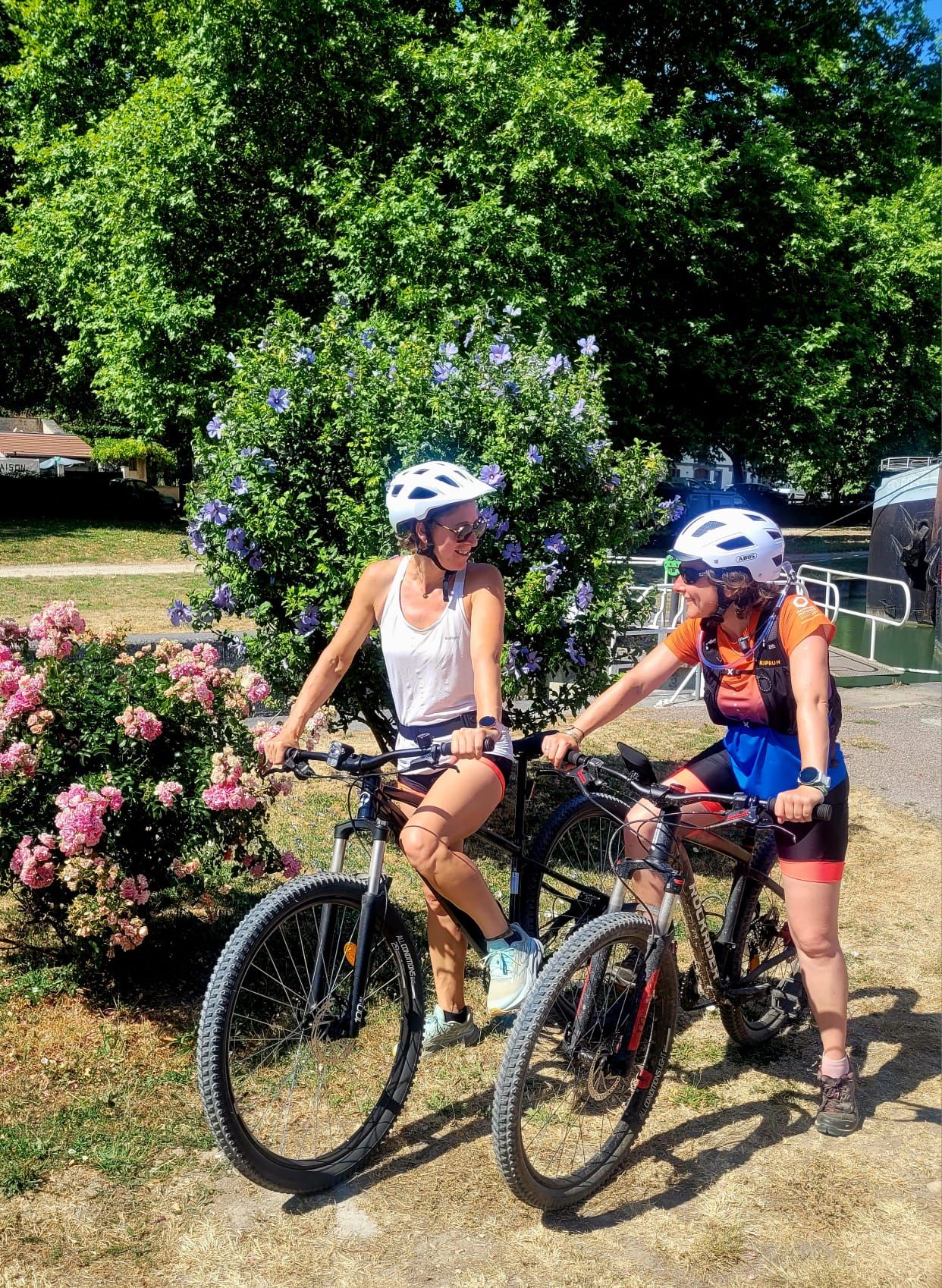 Deux vélos sont garés près d’un arbuste en fleurs, avec une zone herbeuse et des arbres en arrière-plan.
