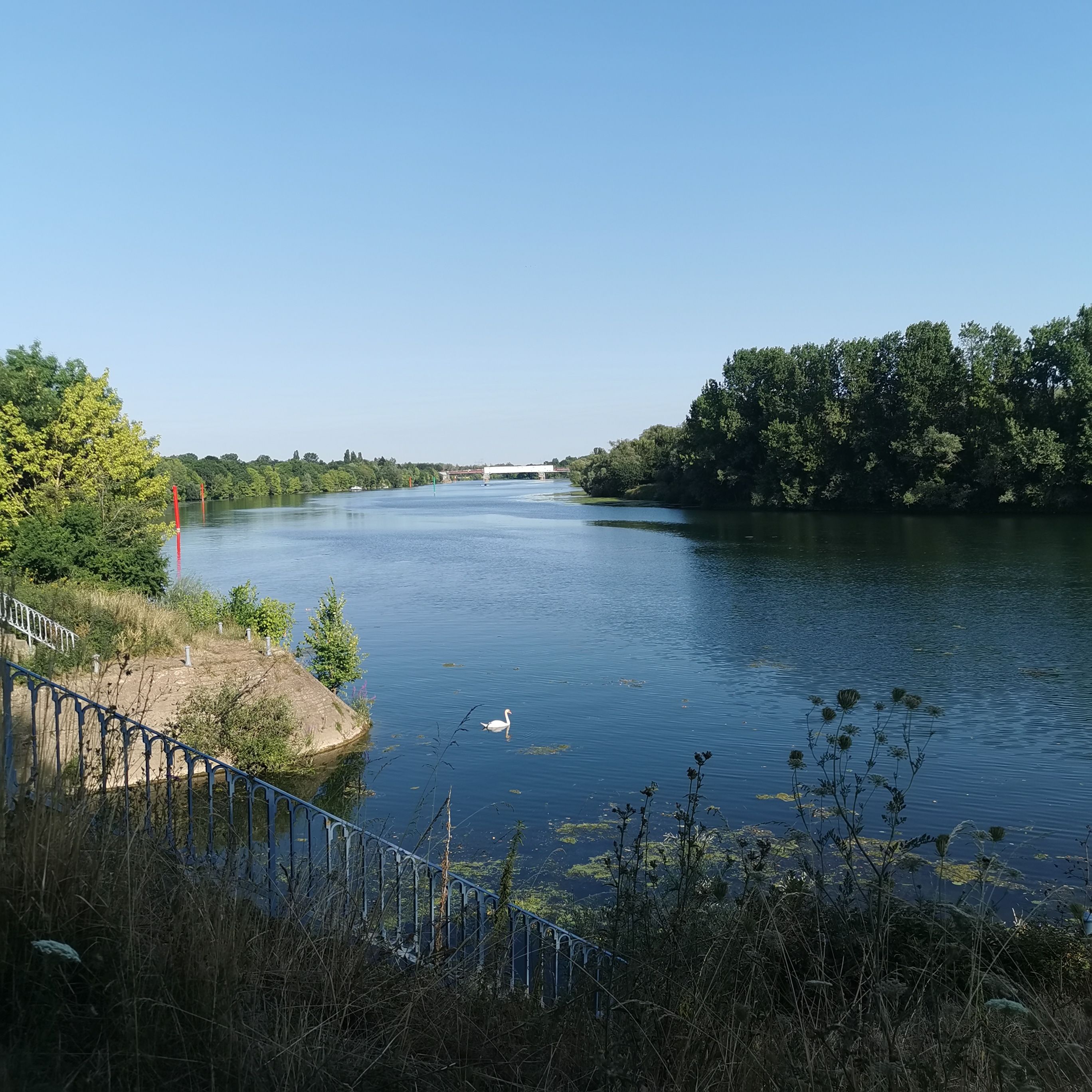 A river with a bridge in the distance, surrounded by trees and vegetation.