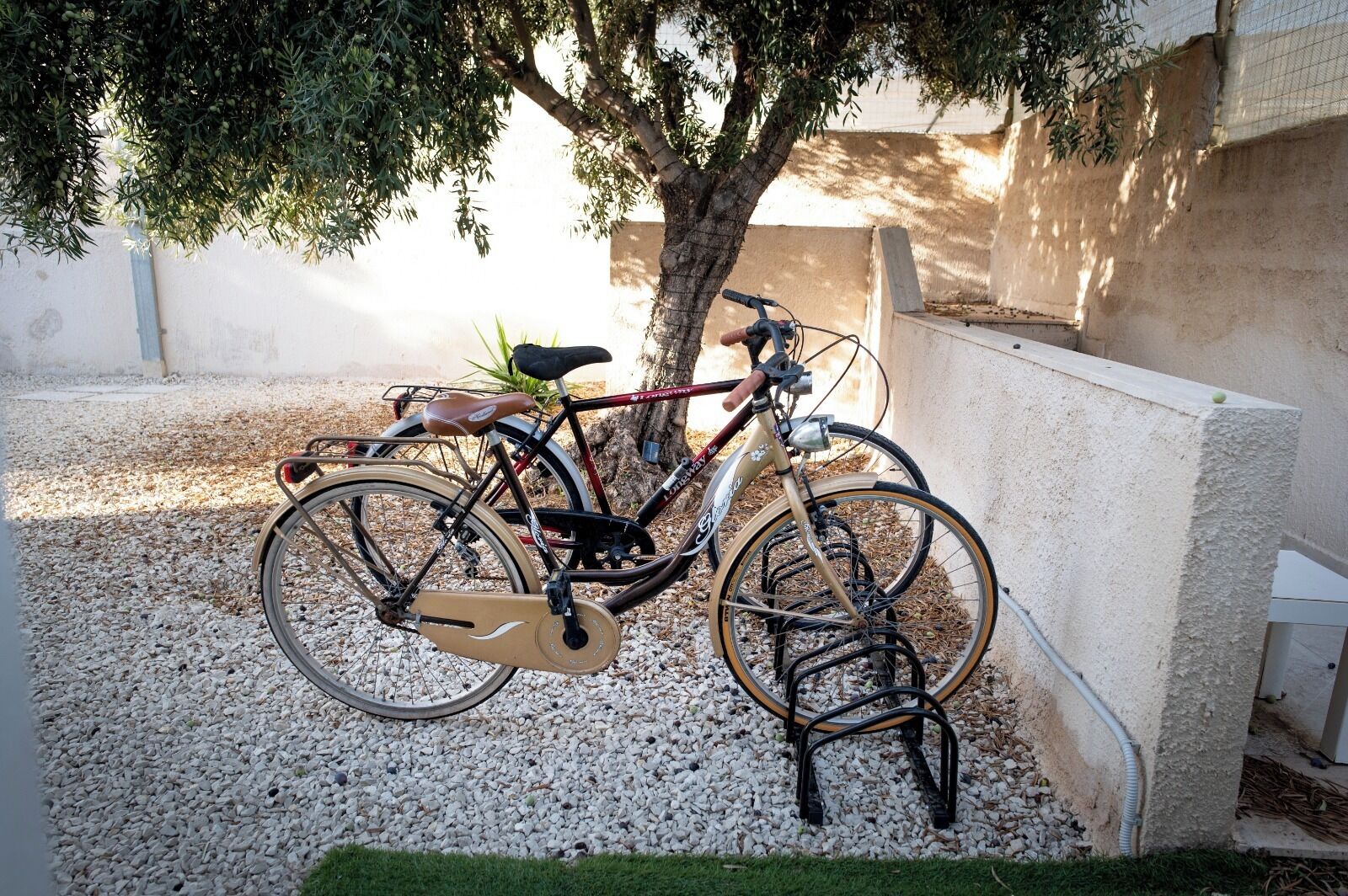 Una bicicleta estacionada sobre grava con un árbol y un muro de concreto al fondo.
