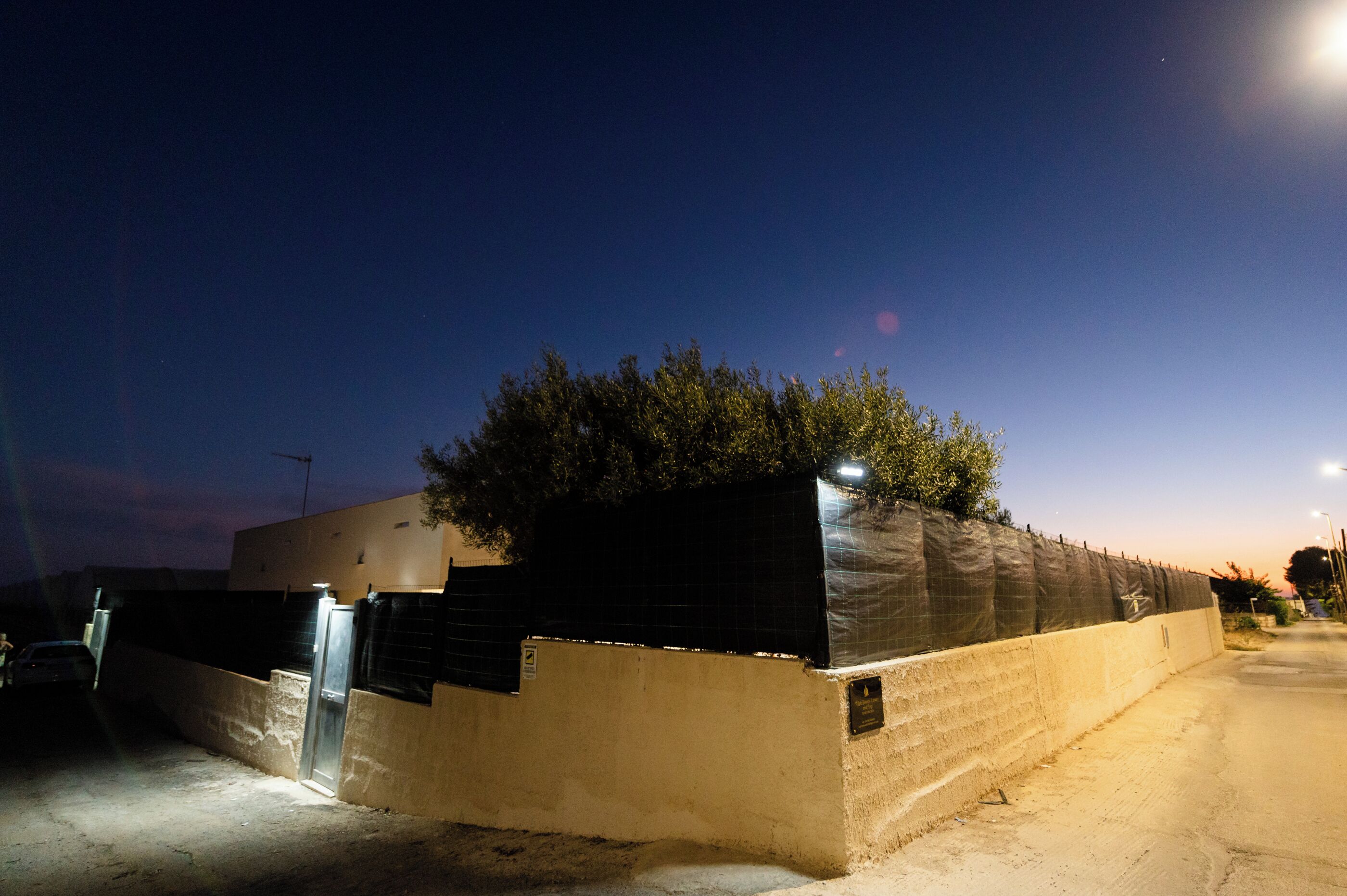 A nighttime view of a building with a gated entrance, a small tree, and a streetlight.