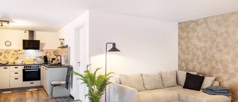 Fernseher, Stereoanlage