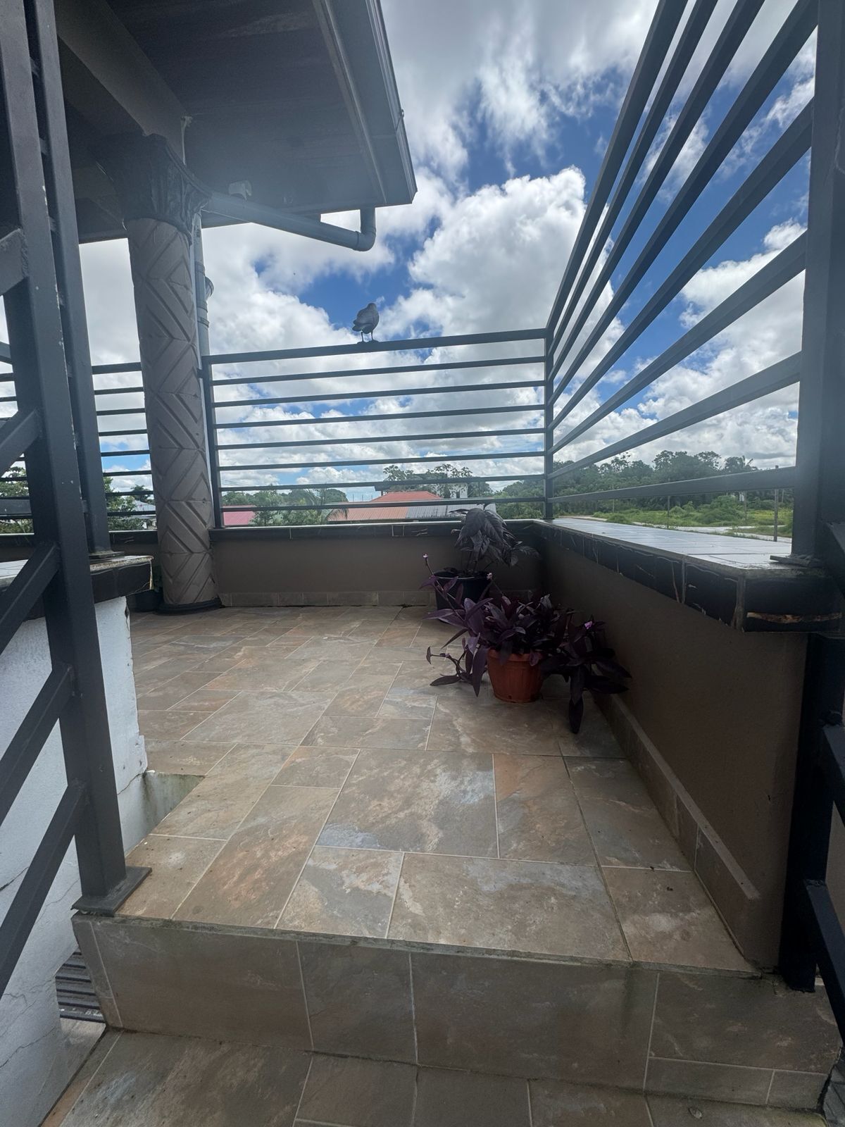 Varanda com piso de azulejos, grades de metal e plantas em vasos.