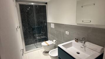 Shower, hair dryer, towels