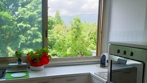 Una cocina con ventana, estufa y lavaplatos.
