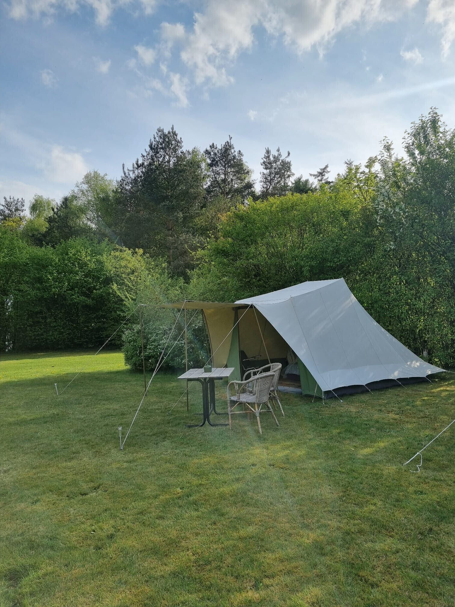 Área da propriedade