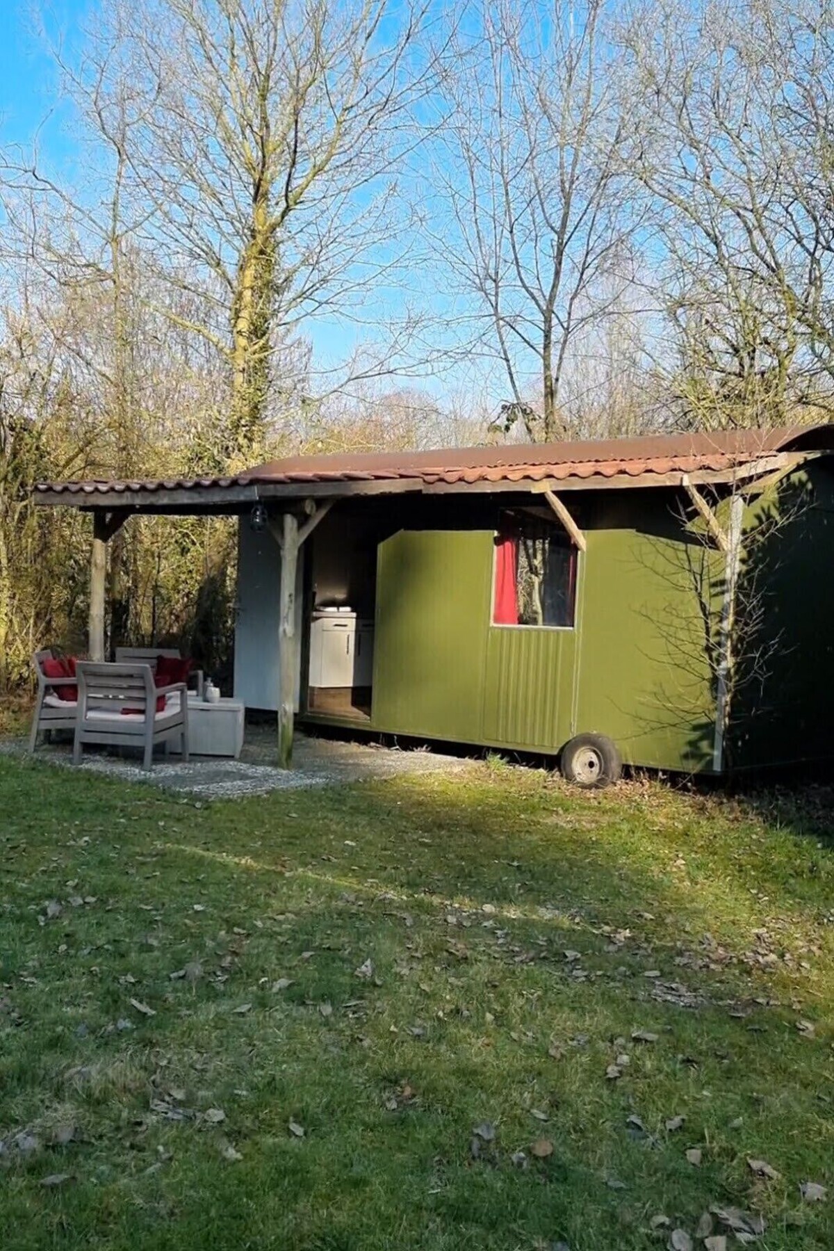 Imagen de perfil del propietario o de la propietaria