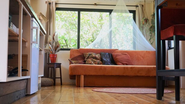 Una sala de estar acogedora con un sofá, una mesita auxiliar, una planta en maceta y un ventanal con vistas a zonas verdes.