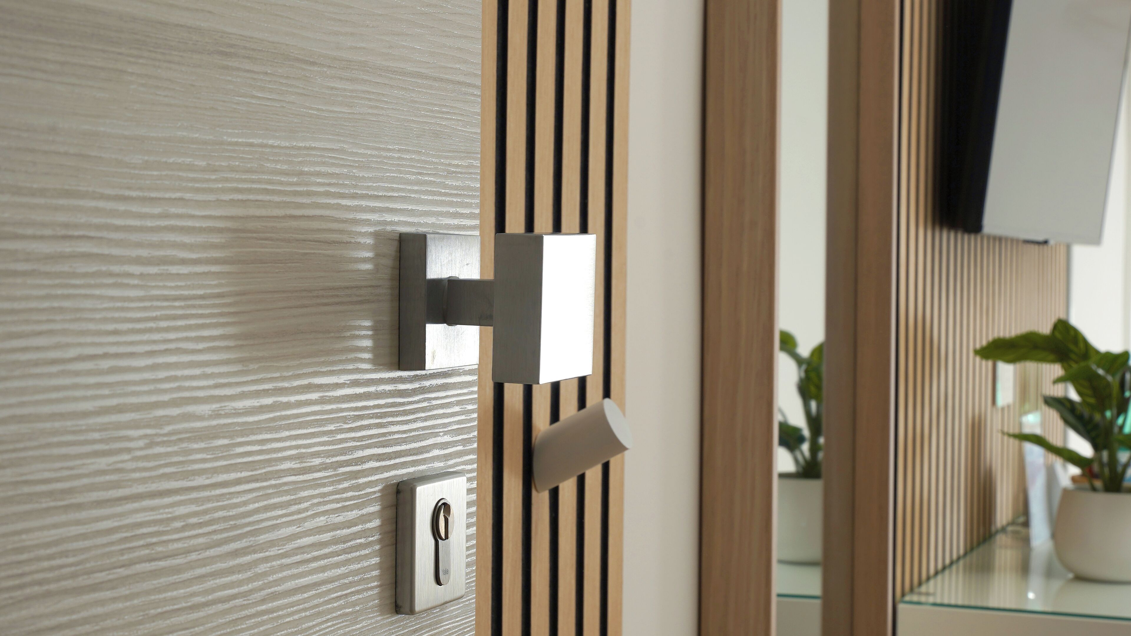 A modern door with a key lock and a push-button lock.
