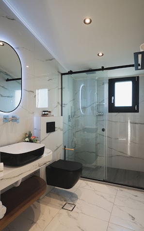 Shower, hair dryer, towels