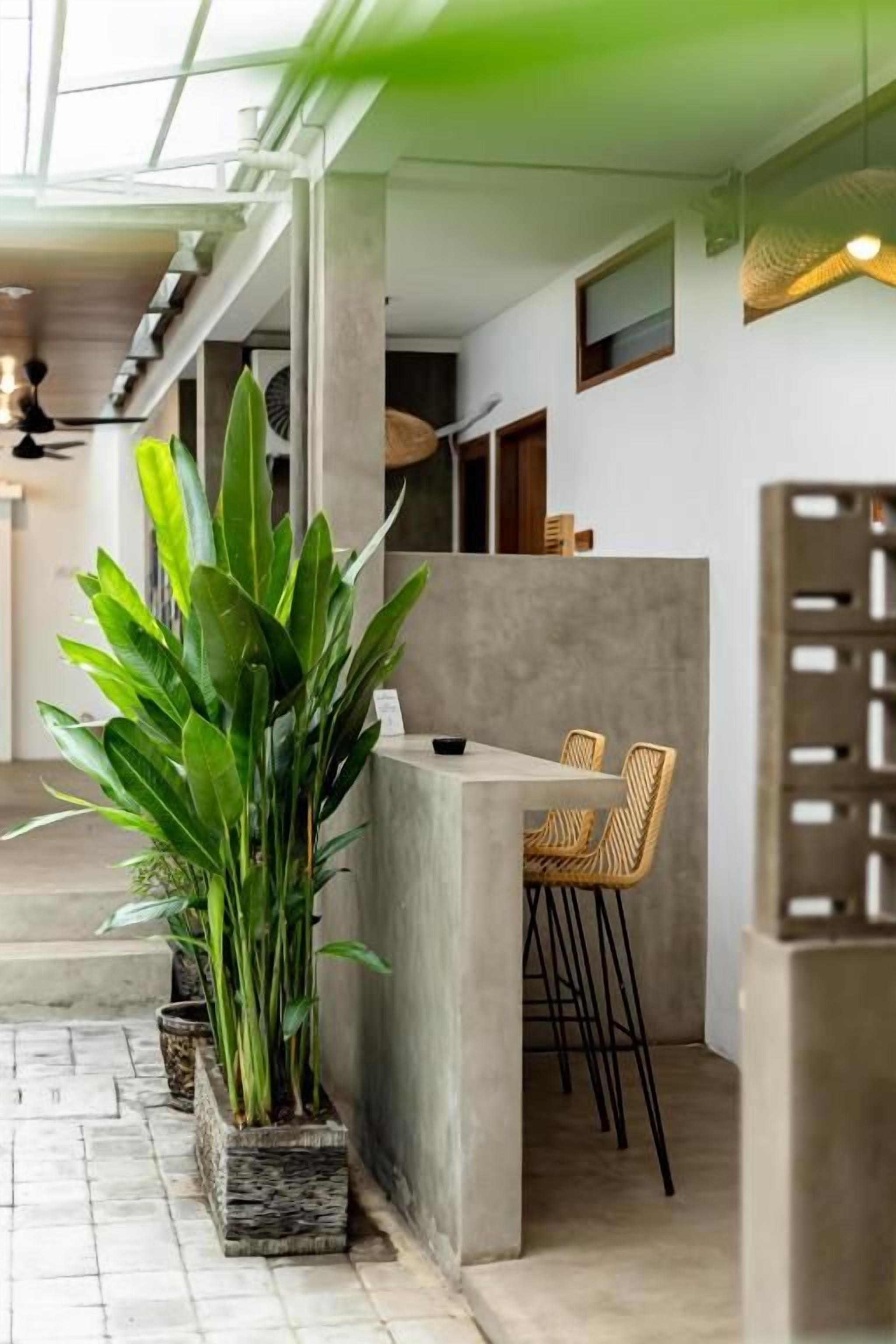A modern interior with a concrete bar area, seating, and potted plants.