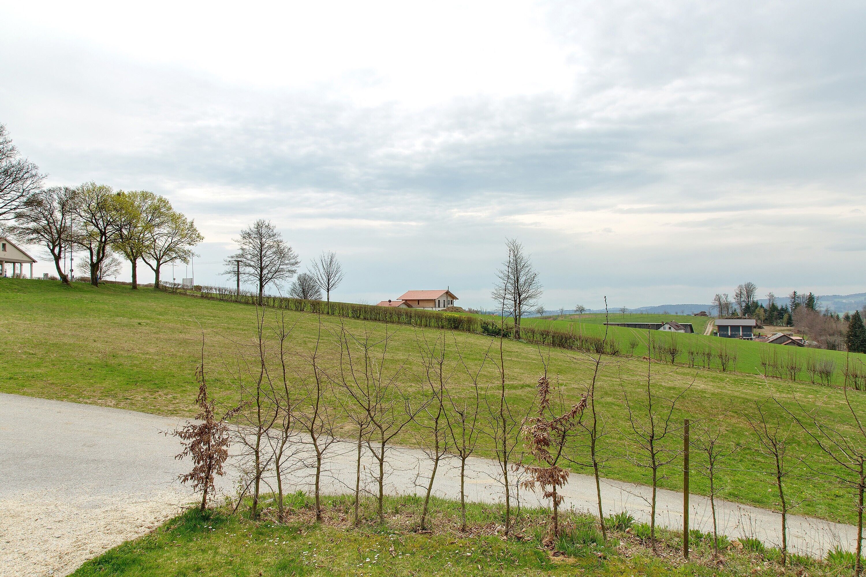 A rural landscape with a gravel path, sparse trees, and distant houses.