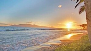 Une scène de plage avec un coucher de soleil, des vagues de l’océan et un palmier.