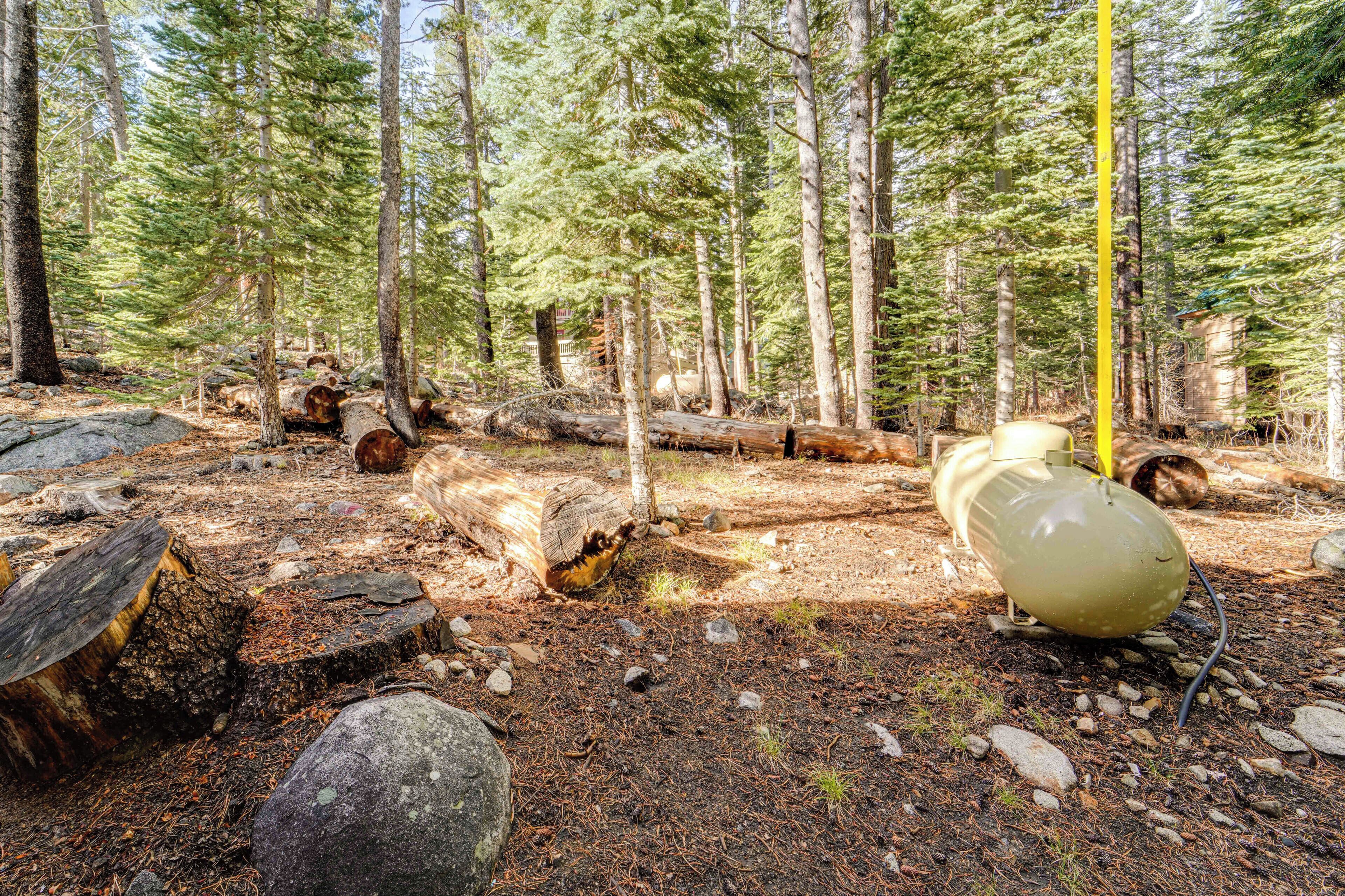A forest with a large, round, yellow object on the ground.