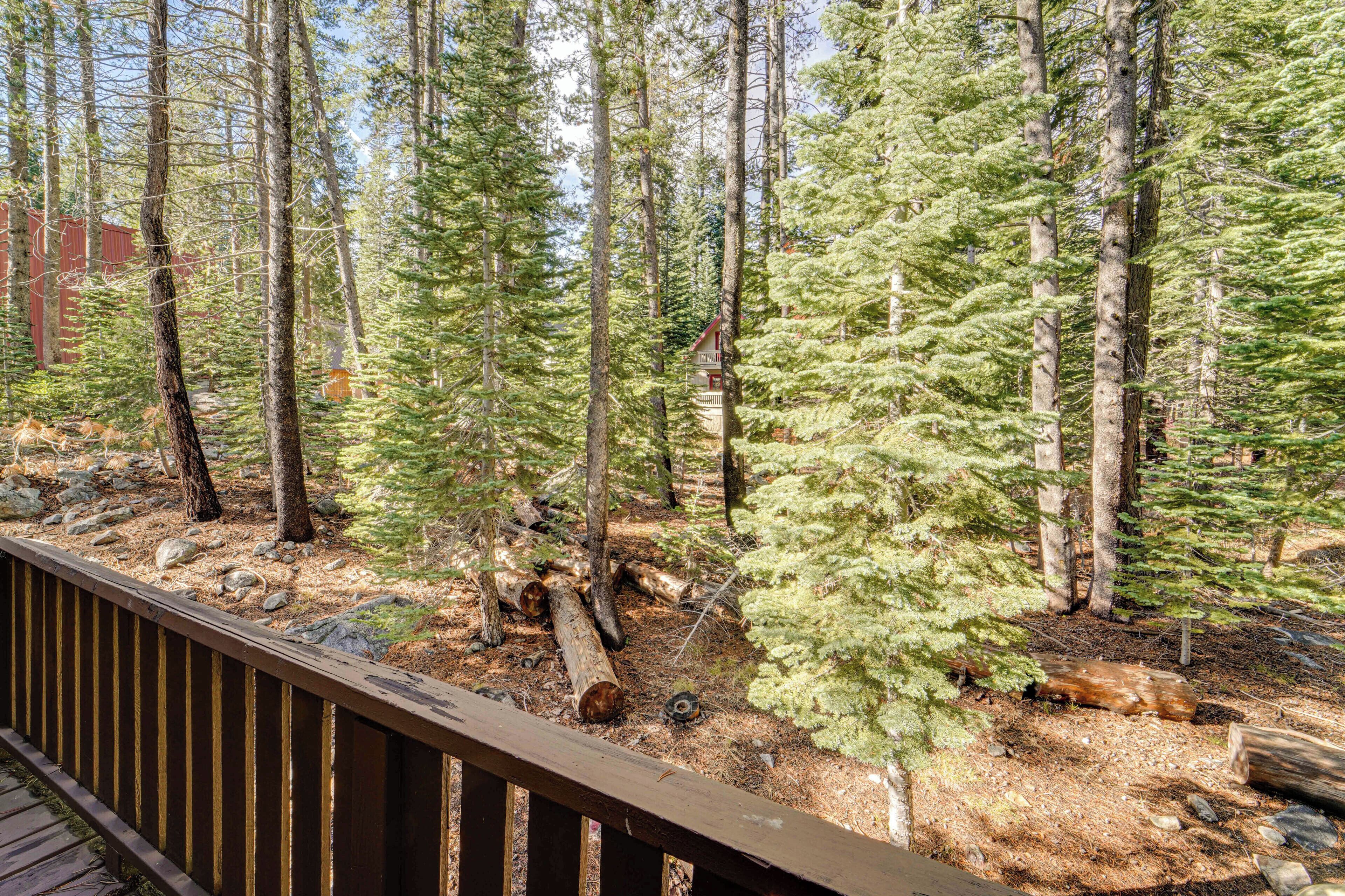 A forested area with a wooden deck.