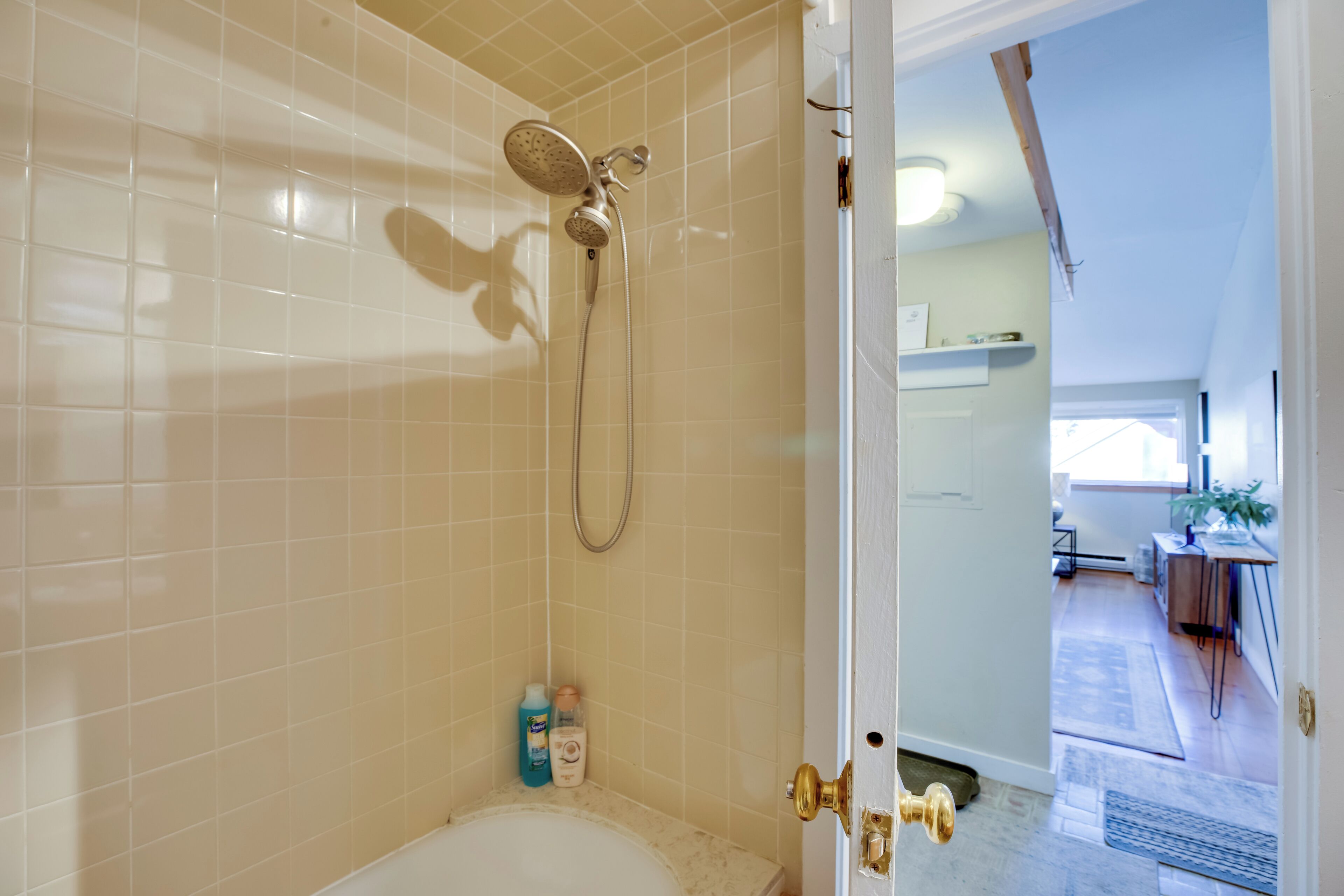 Une salle de bain avec une douche, une baignoire et des toilettes. Une porte donne sur un couloir où se trouvent un tapis et une plante.