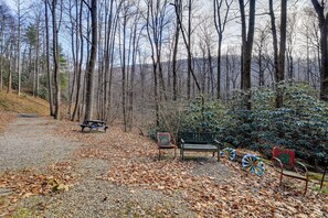 Apartment (2 Bedrooms) | Interior - Stay By the Blue Ridge Parkway! Cozy Mtn Condo (Fancy Gap)