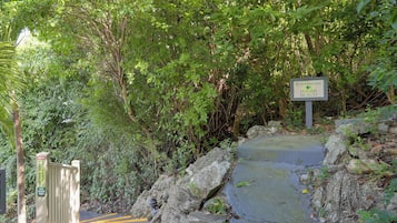 Apartment (0 Bedroom) | Interior