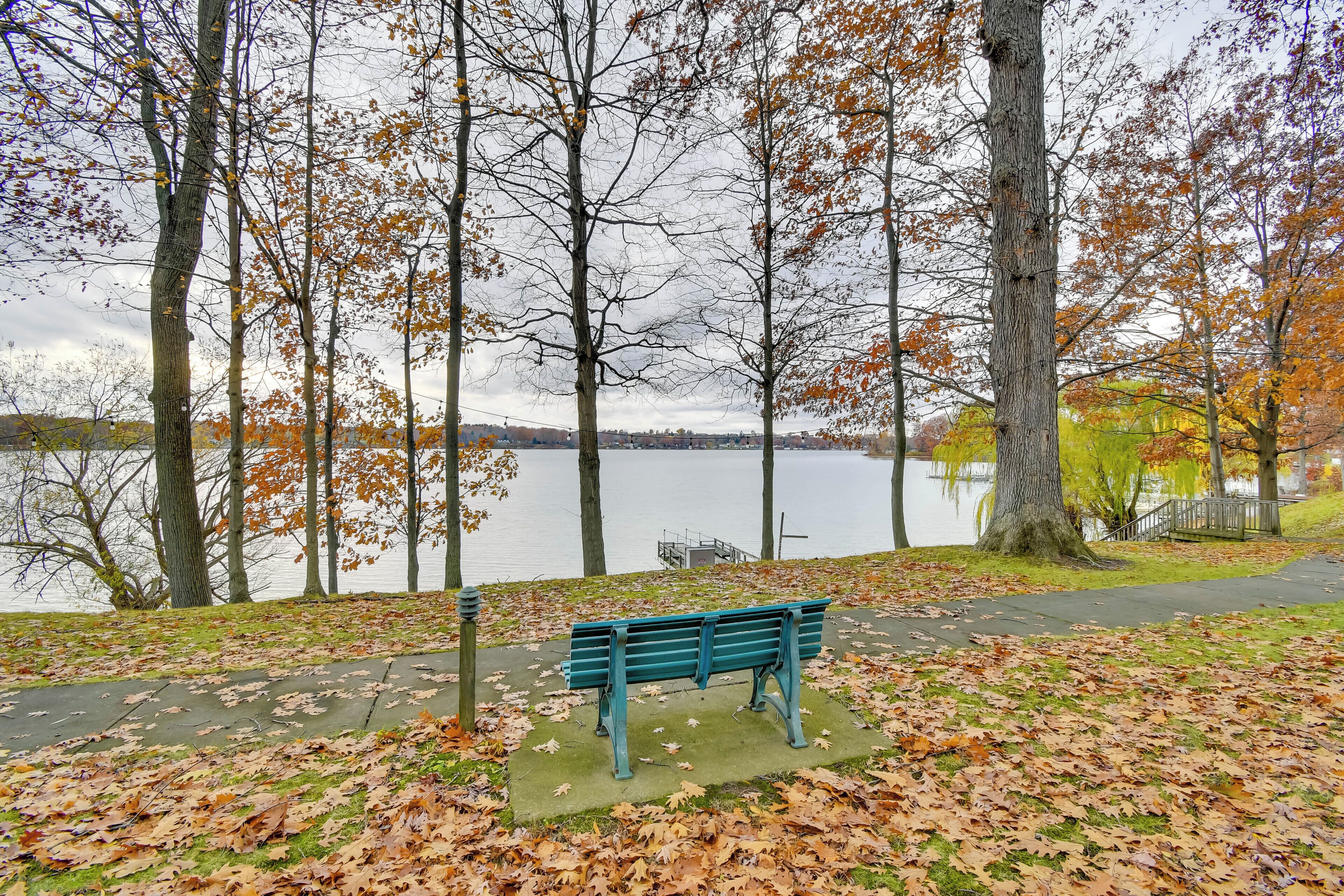 A park with a bench, trees, and a lake.