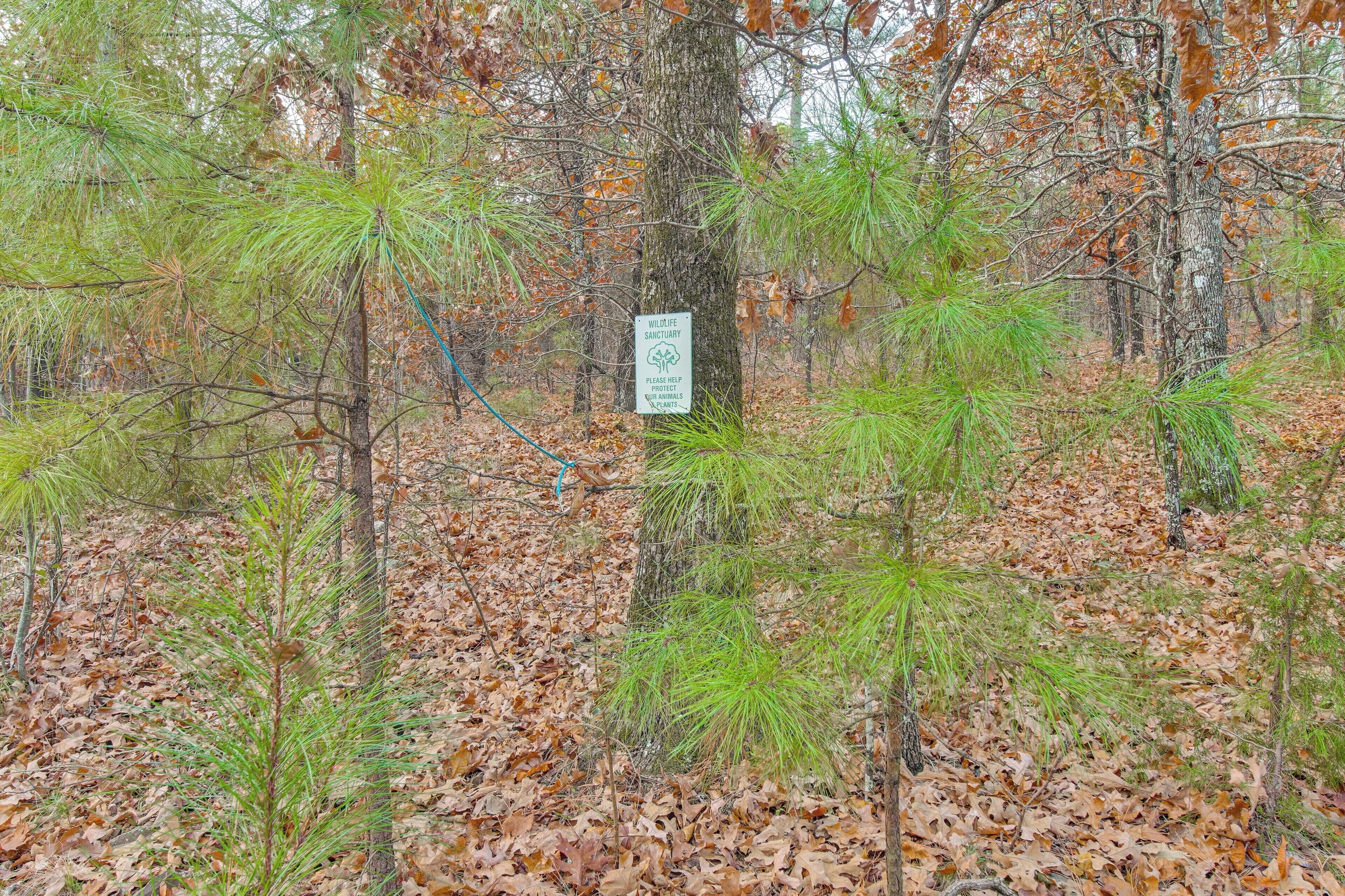 A forested area with a wildlife sanctuary sign.